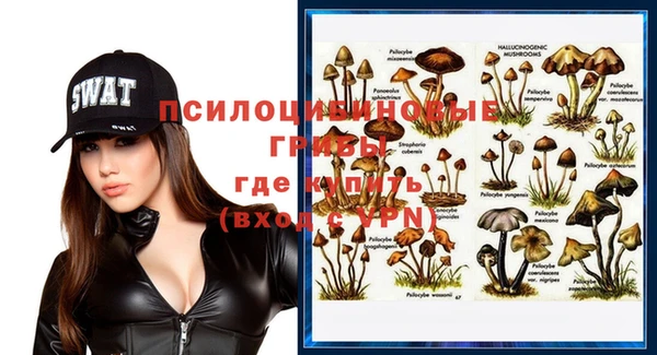 стаф Верхнеуральск
